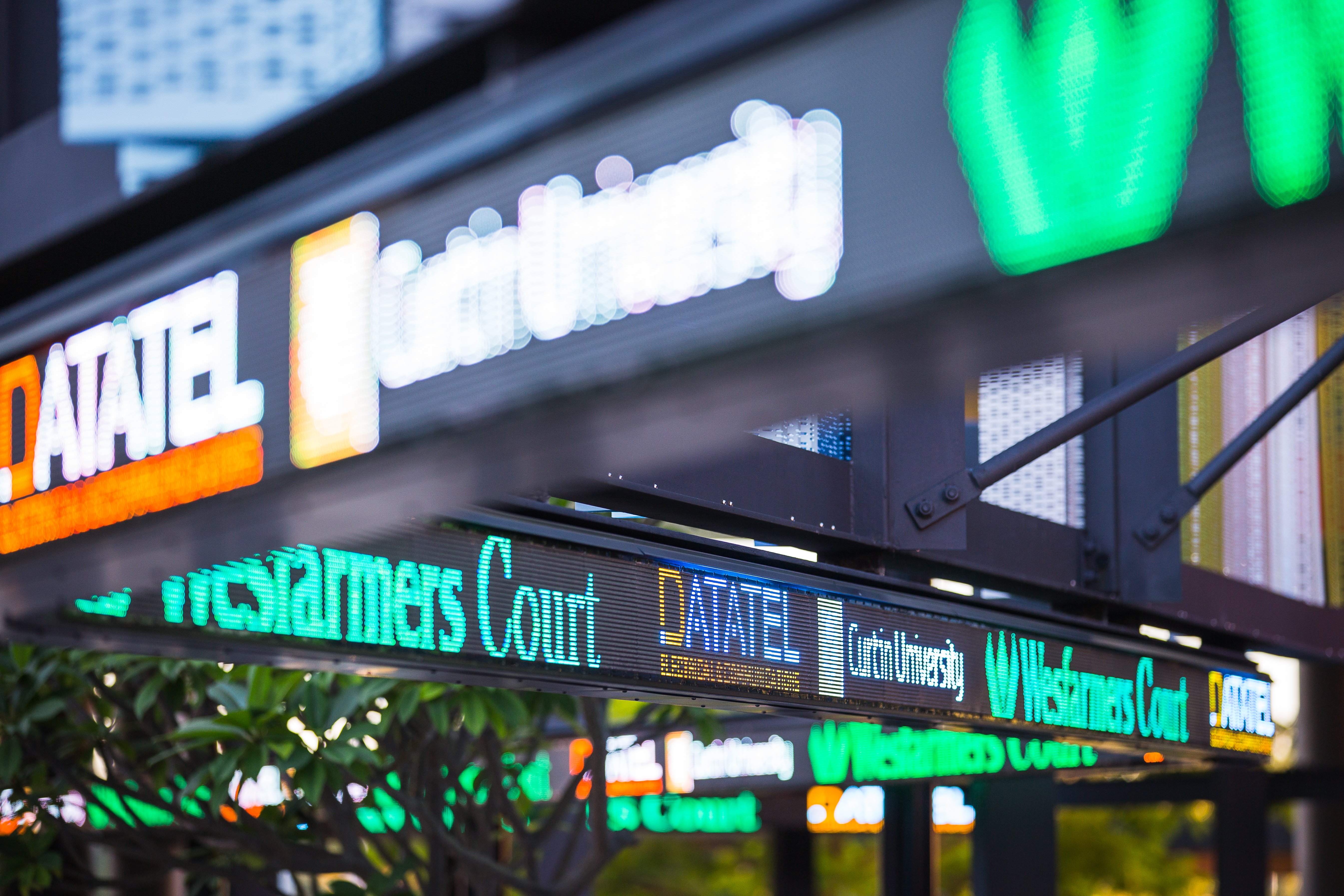 Copy of 5L3A2031 (1)